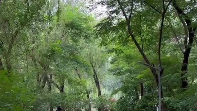 The long path