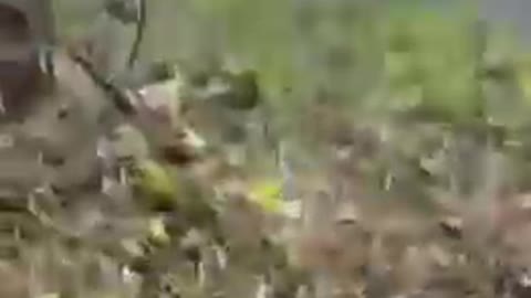 Destroyed Russian Su-34