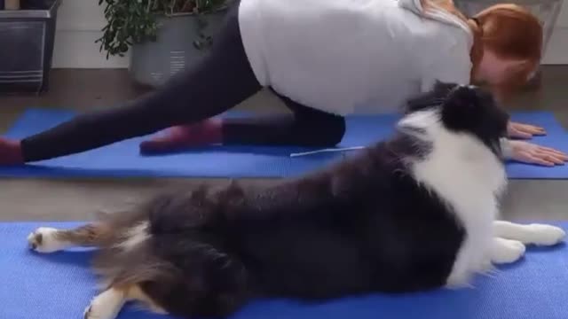 The Yoga Dog stretch in the morning