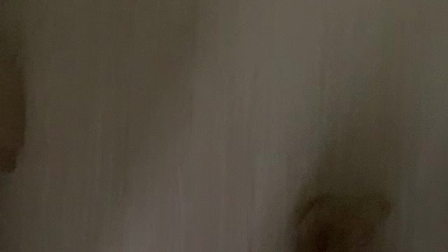 My puppy escapes the fence at home(first time)
