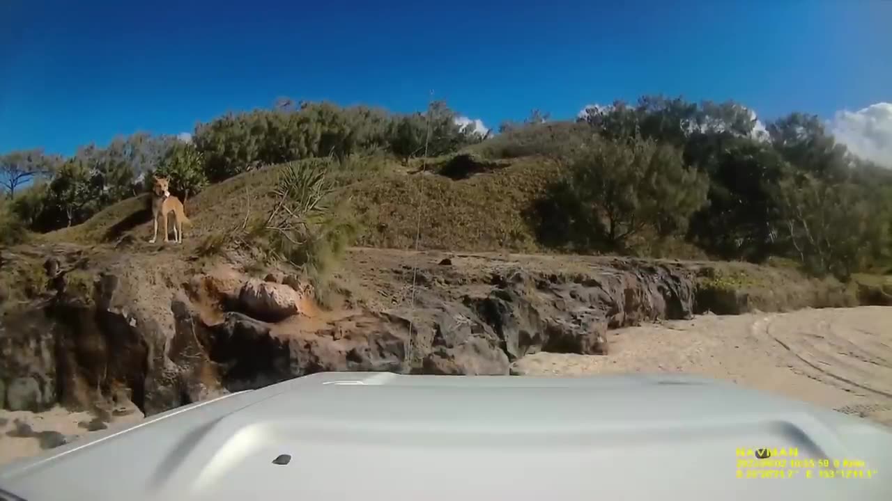 Fun