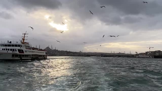 birds-flying-around-ferry-near-istanbul-