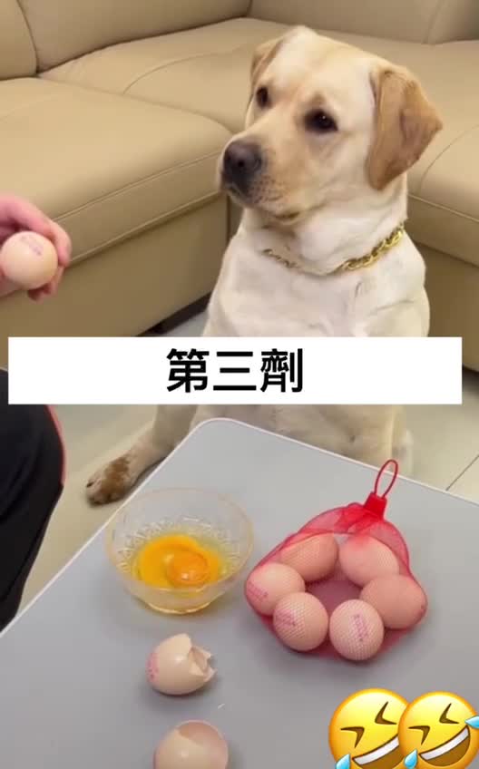 “被騙三次…想咬人了…”關於新冠疫苗實驗針劑（C_19 vaccine）的行銷政策…（死亡人數大增、副作用傷害不斷）政府說詞，一再欺騙全國民眾～