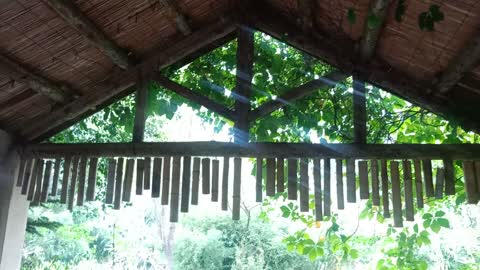 Thatched hut sheltering from the rain