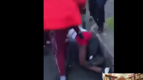 Indigeneous Irish kids fight back against Racist thieving Immigrants.