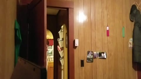Boy Screams Like a Girl Over Xbox
