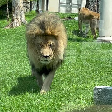 Wait For It...Oh Boy!