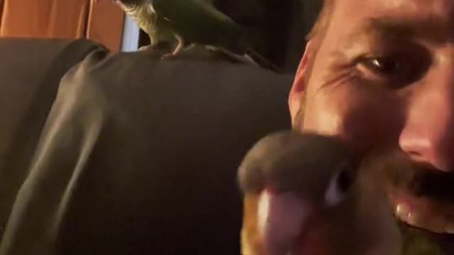 birdtok#fyp#hey#birdie
