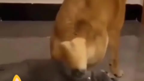 Omg🤣