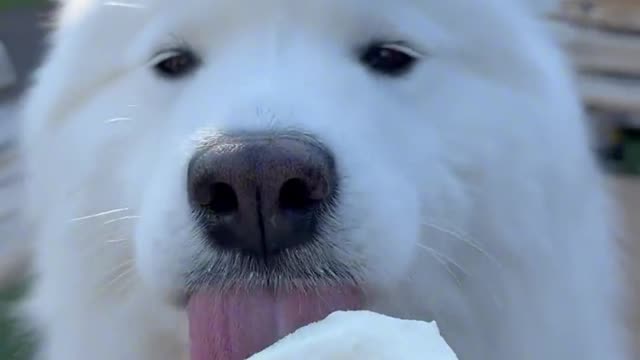 Make an appointment for ice cream in summer