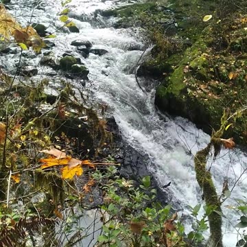 Oregon Trip November 2023