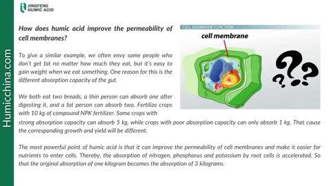 How Does Humic Acid Work For Plants Where Can I buy It?