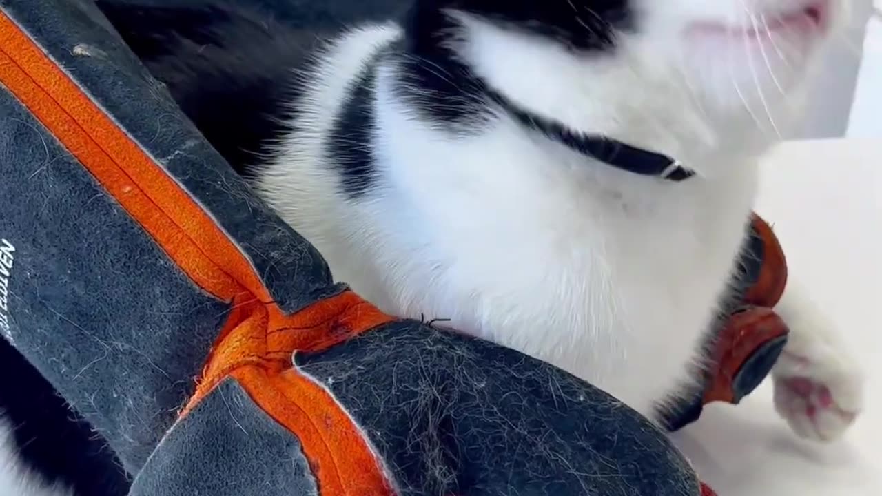 Böyle ilaç yutmab ne görüldü ne duyuldu (1080p) short video