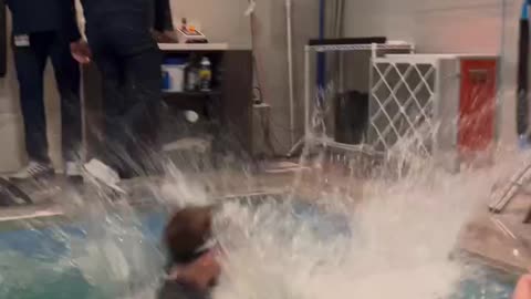 Pool Celebration