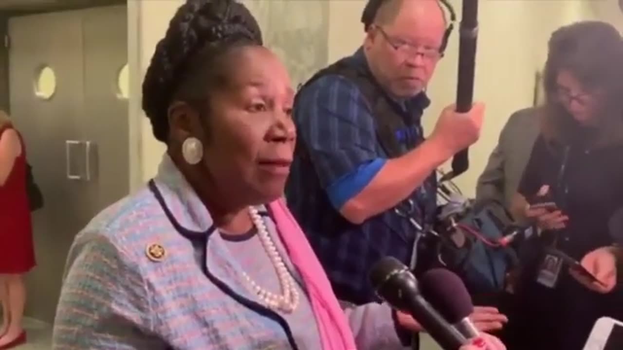 Sheila Jackson Lee AR-15s