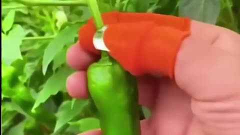 Portable Thumb Knife Cutter For Vegetable