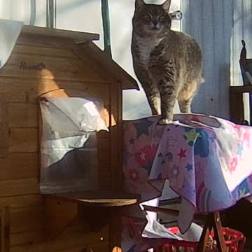 EA S92 - Where Do I Want to Go?