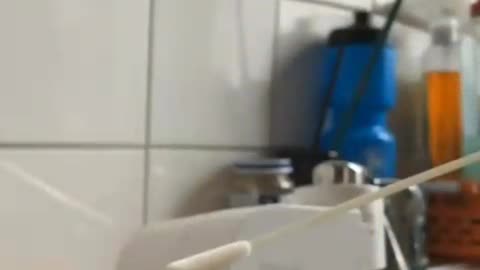 pcr