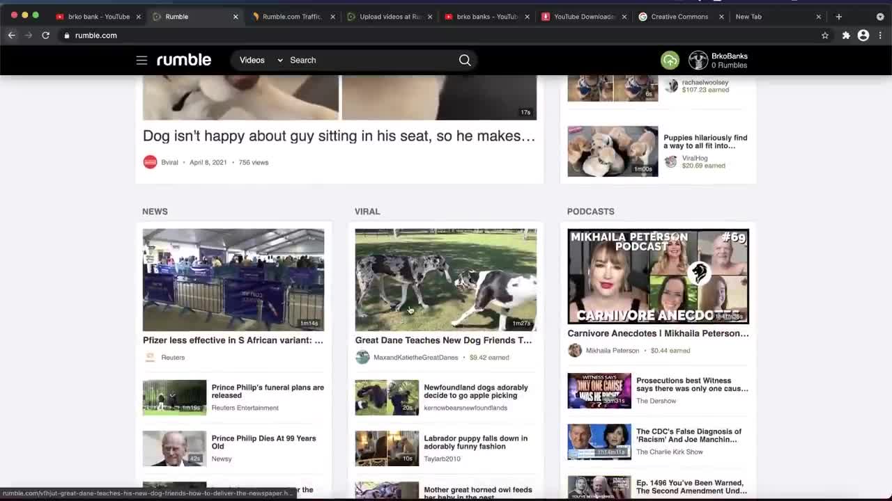 Copy Paste Videos And Make 153.03 Per Video