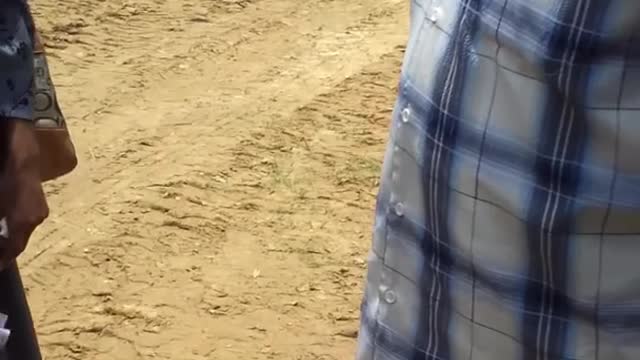Dove Release Failure