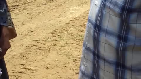 Dove Release Failure