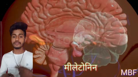 pineal gland of human brainbiological short video by meetbi