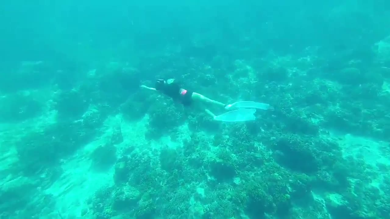 Sea Swimming