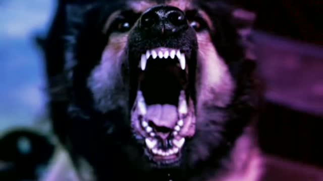 Beast mode activated