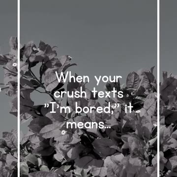 When your crush texts I'm bored, it means...