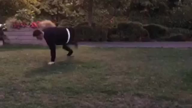 Guy does a flip in the park and crashes into a bench