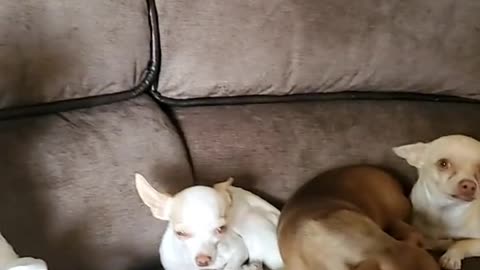 The family is on the couch