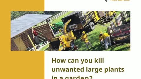 How can you kill unwanted large plants in a garden?