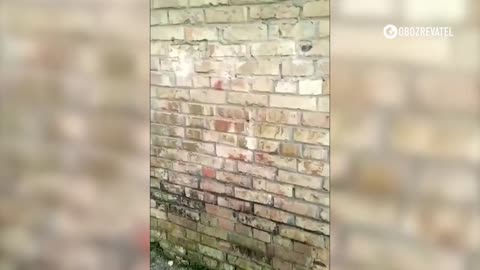 The invaders with heavy artillery shelled the village of Lubizh, Vyshgorod district