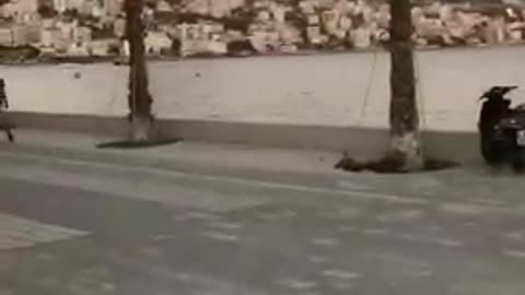 Albania, giugno 2021: come se il virus non esistesse...