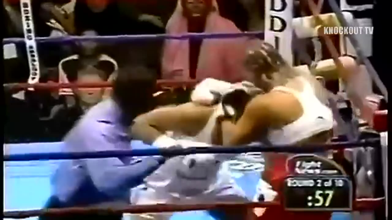 Top 10 knock outs of Leila Ali