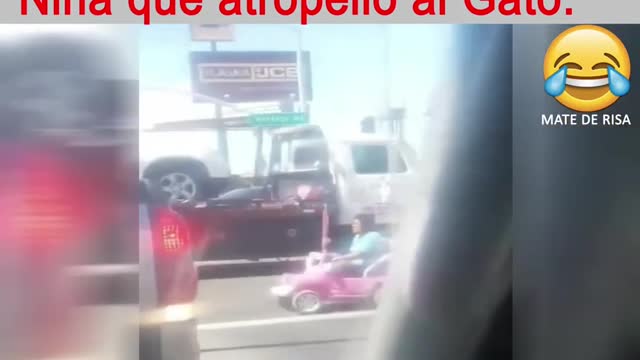 Familiares de la niña que atropello al gato