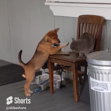 Are we going to be friends ?