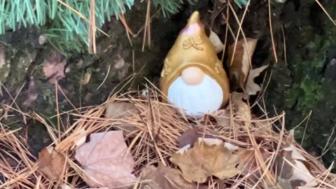 Gnome Forest Labyrinth Walk