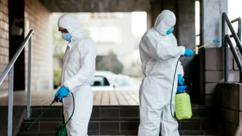 Scuity Bed Bug Exterminator in Chicago IL - Bed Bug Removal
