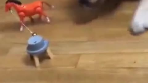 animals and toys