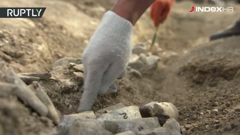 Na Krimu pronađen 10 milijuna godina star kostur kita