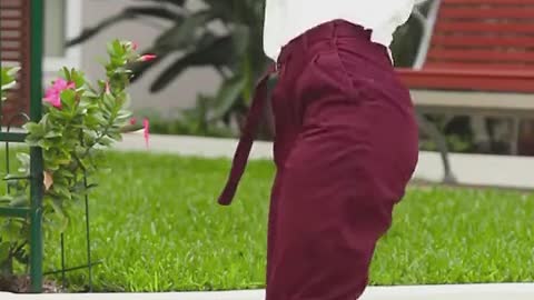 funny video
