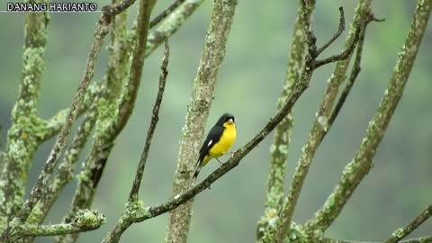 the beauty of seeing bird life in the wild