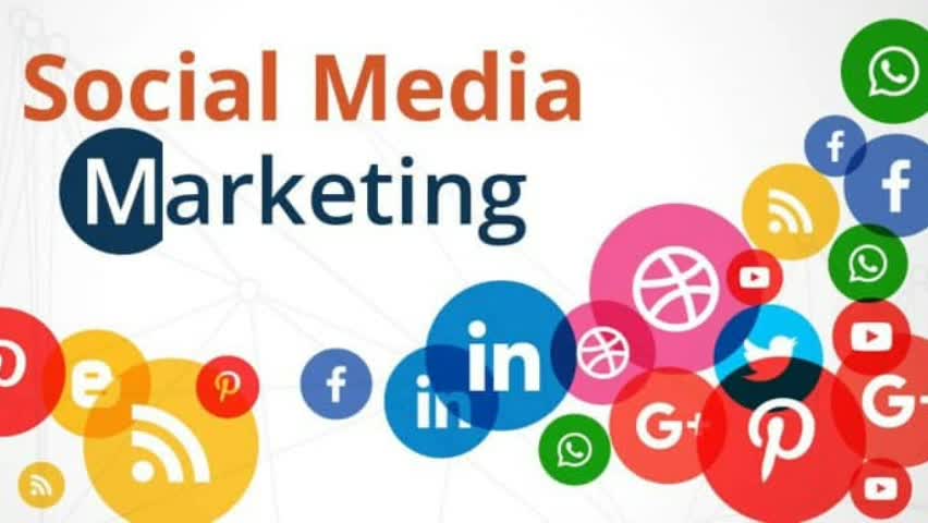 Professional Diploma in Digital Marketing