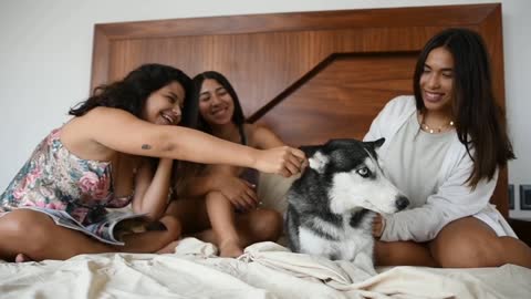 Dog love, dog and people, dog training, cute dog