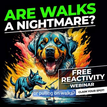 🦮 FREE Reactivity & Aggression Training