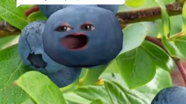 I'm a beatboxing blueberry