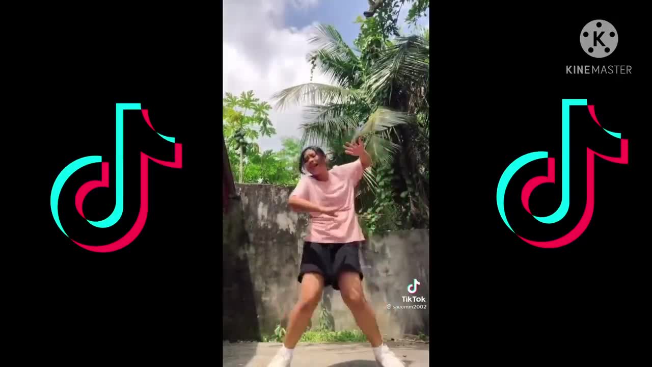 Amazing tiktok dance