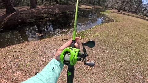 Fishing a Small Pond for MONSTER Bass!