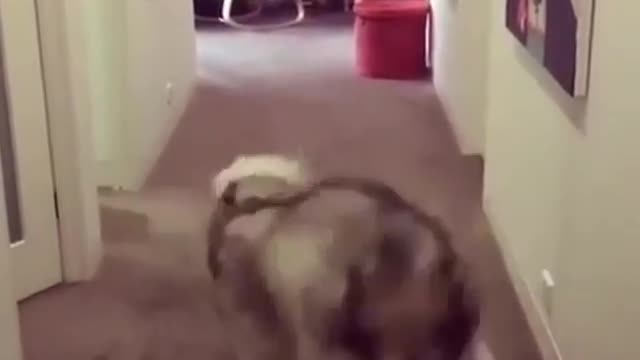 wanna play with big boys